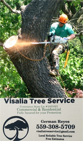 Visalia Tree Service